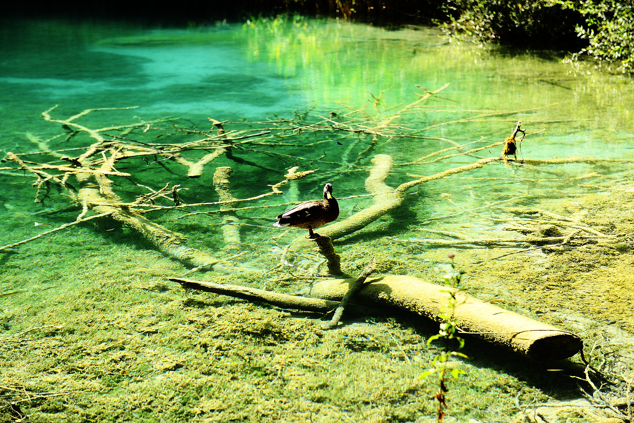 20120816 210 플리트비체 국립공원